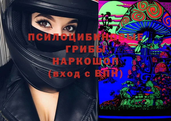метадон Алексин