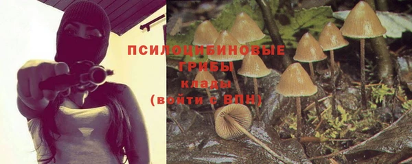 метадон Алексин