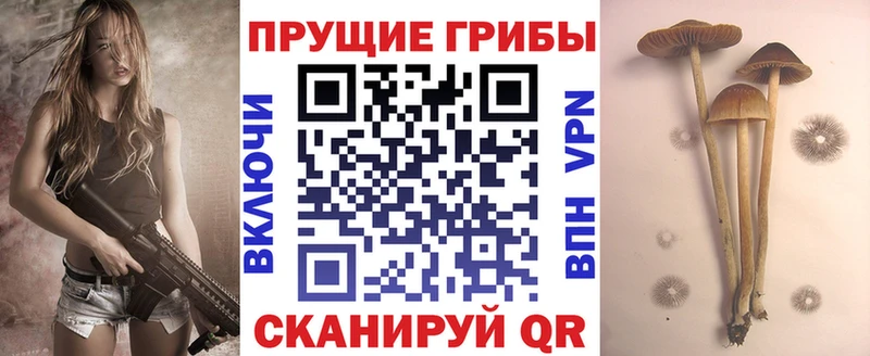Галлюциногенные грибы Magic Shrooms  дарк нет как зайти  Евпатория 